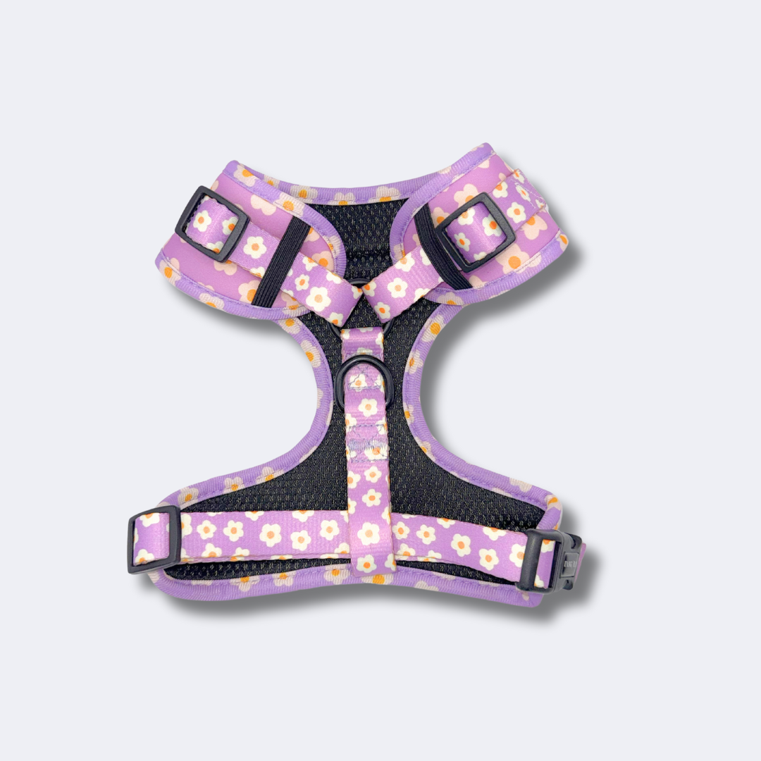 Arnés Ajustable Flores