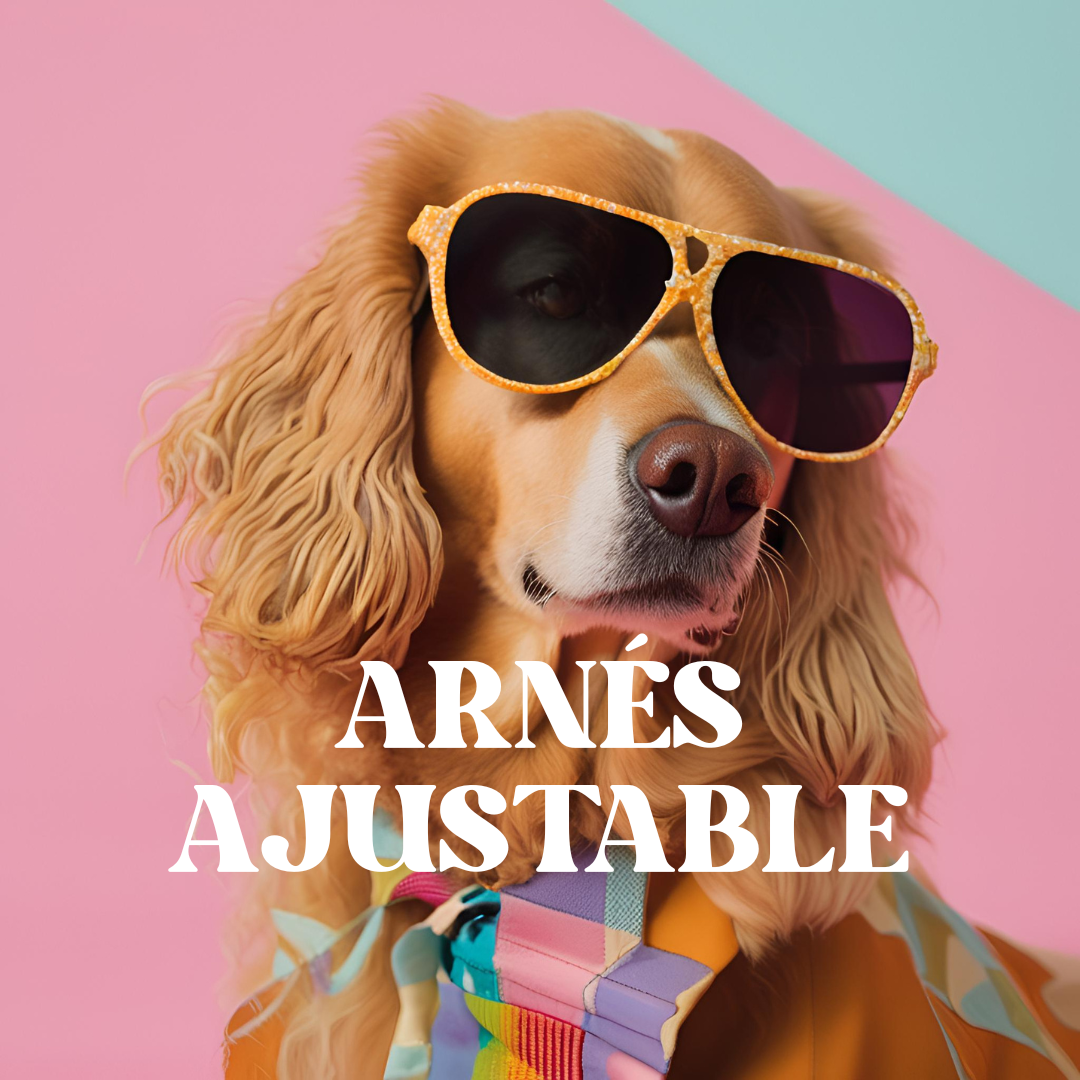 Arnés Ajustable