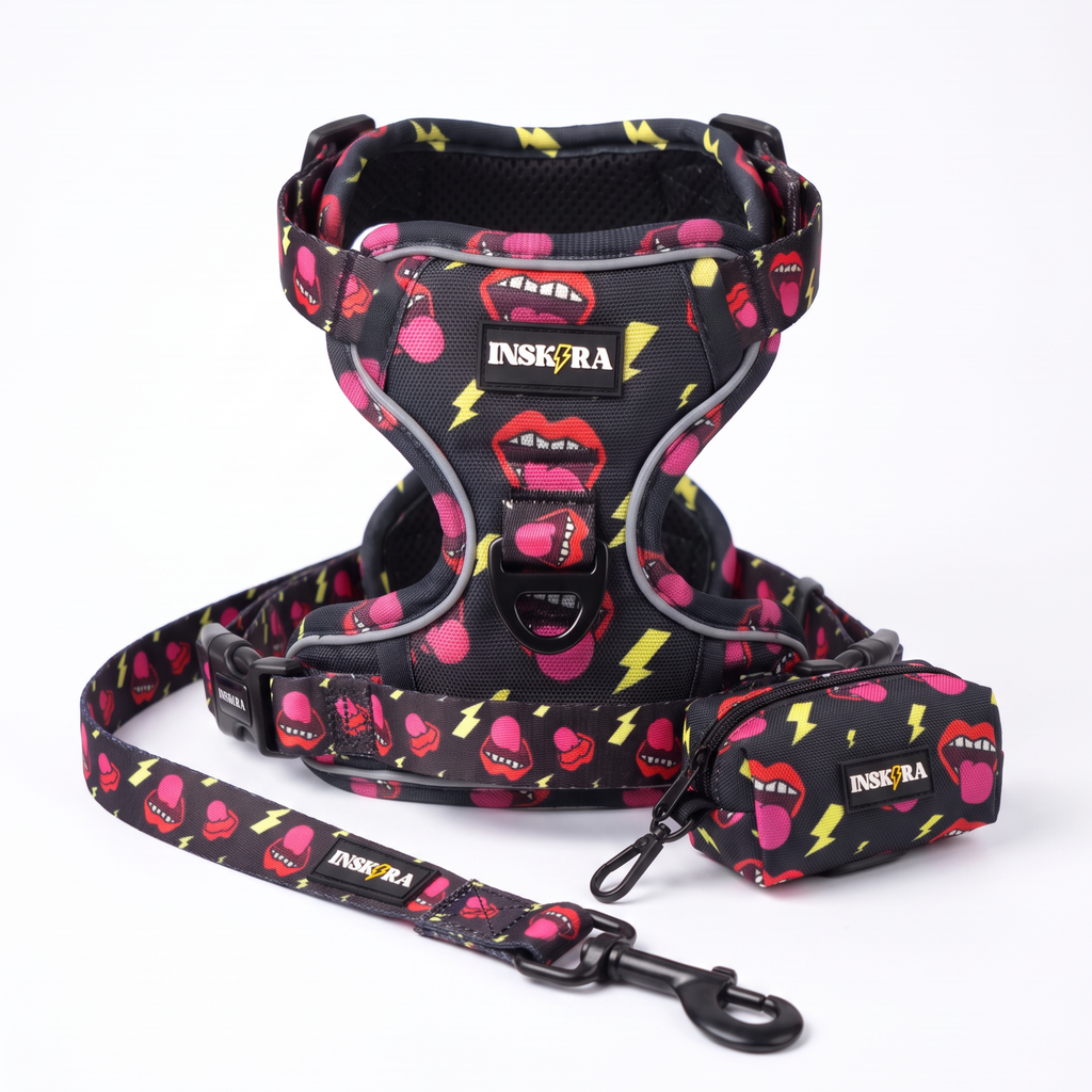 Pack Arnés INSKIRA Rock Edition con Correa y Porta Bolsas