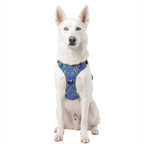 Pack Arnés INSKIRA Neón con Correa y Porta Bolsas