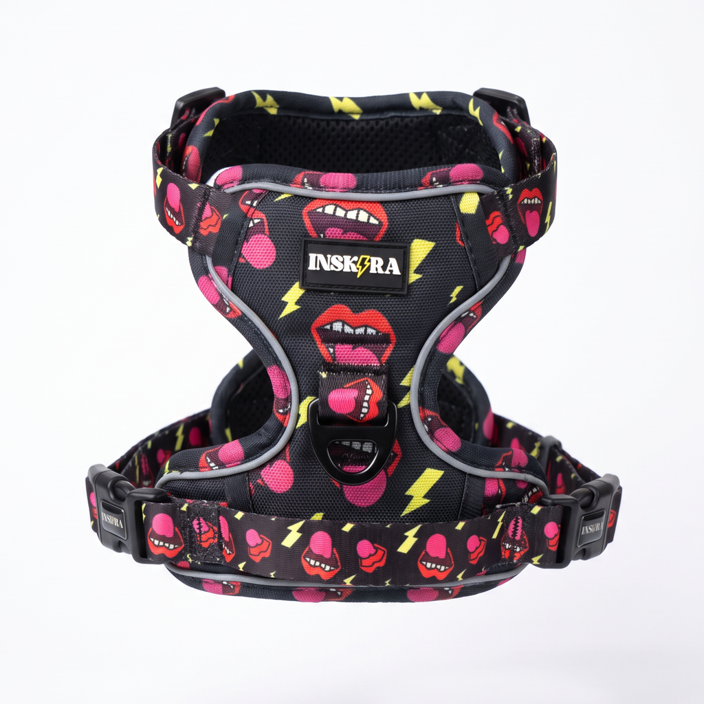 Pack Arnés INSKIRA Rock Edition con Correa y Porta Bolsas