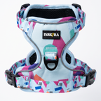 Pack Arnés INSKIRA Geo con Correa y Porta Bolsas