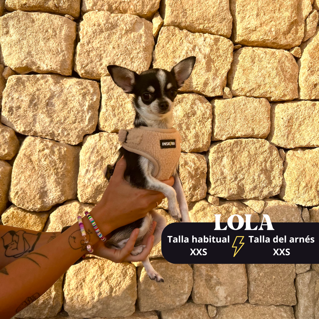 Arnés Ajustable Borreguito