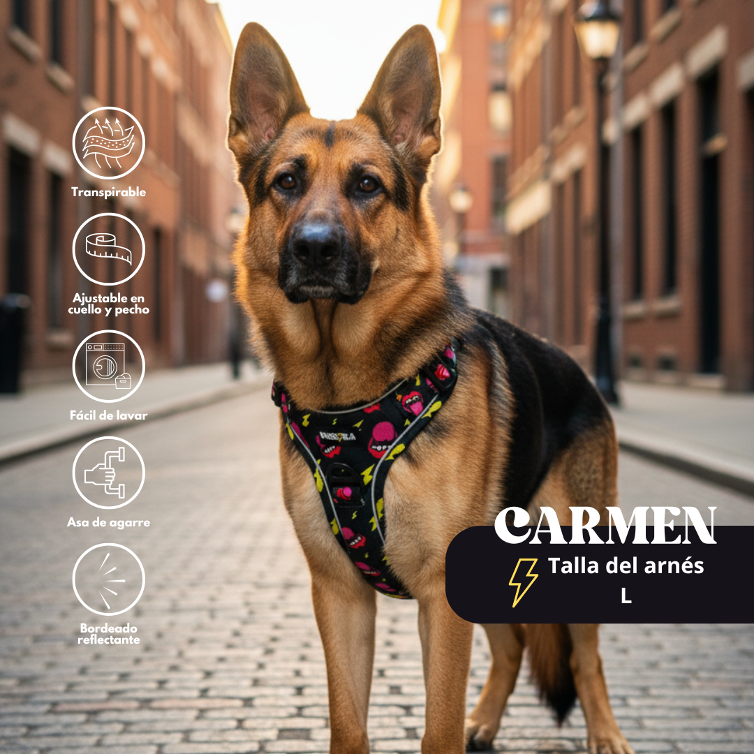 Arnés Todoterreno Bocas